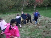 Raking the lower section of the wildflower meadow